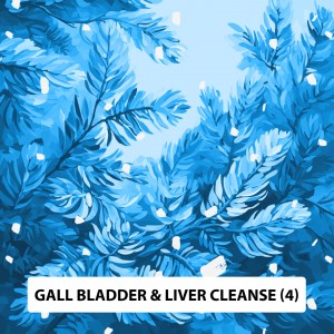 LESS 10% - Gall Bladder & Liver Cleanse (4)